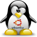 penguin-ubuntu